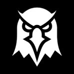 DEX Screener